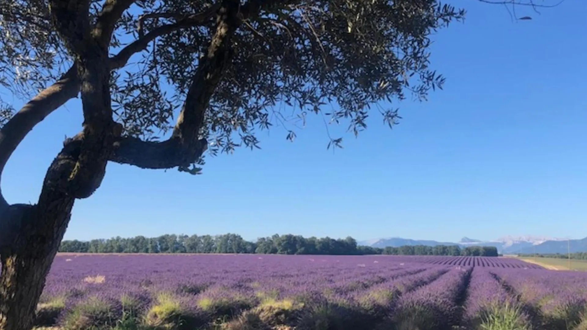 Brunet Magnificent Flat In The Heart Of Lavender Fields - 8-9 People 아파트 0*,