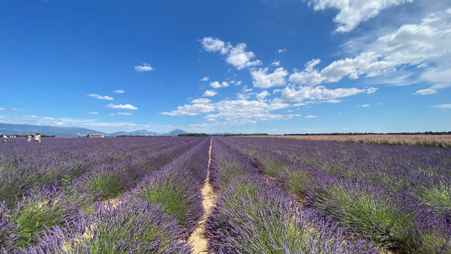 Brunet Magnificent Flat In The Heart Of Lavender Fields - 8-9 People 아파트